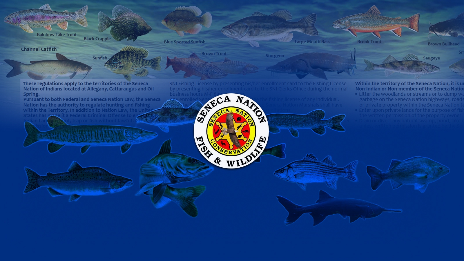 Various fish from the Seneca Nation of Indians with the logo of the Seneca Nation Fish & Wildlife (Seneca Nation Conservation)